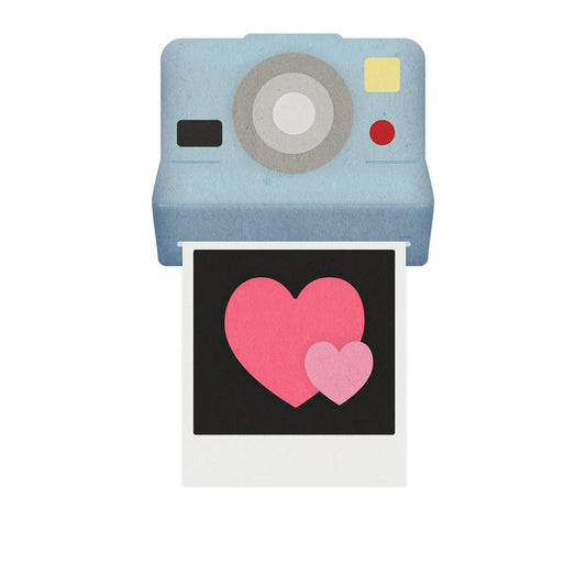 Picture Perfect Die Set