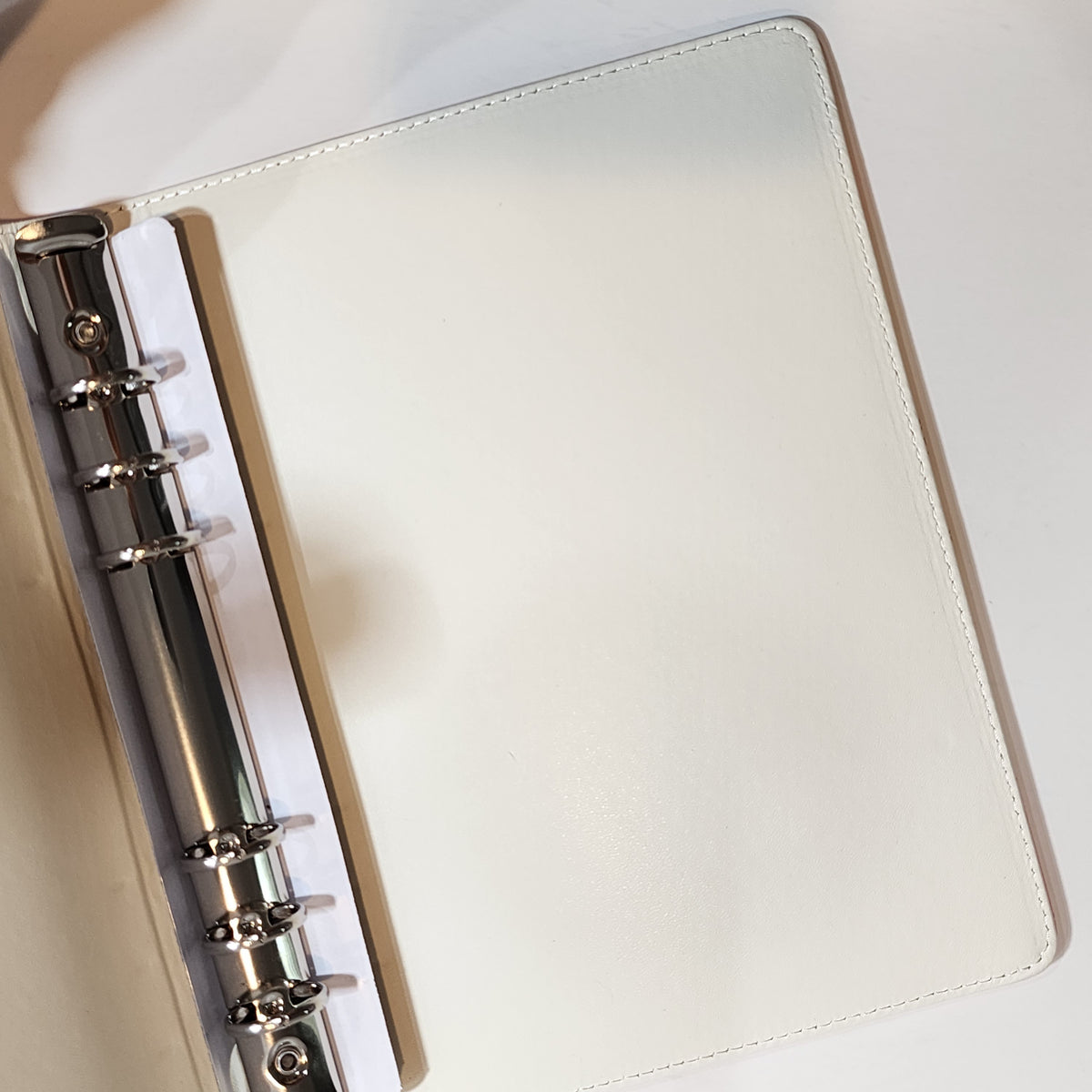 Cow Trio - A5 Binder